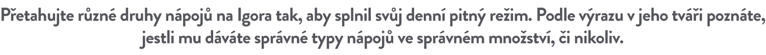 Návod ke hře